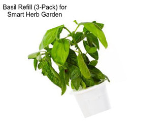 Basil Refill (3-Pack) for Smart Herb Garden