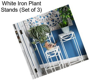 White Iron Plant Stands (Set of 3)