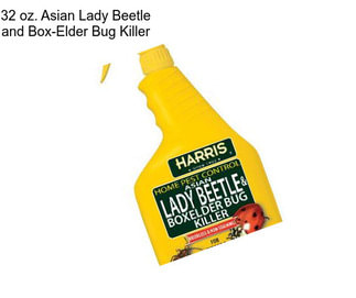 32 oz. Asian Lady Beetle and Box-Elder Bug Killer