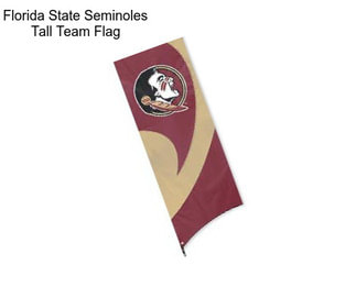 Florida State Seminoles Tall Team Flag