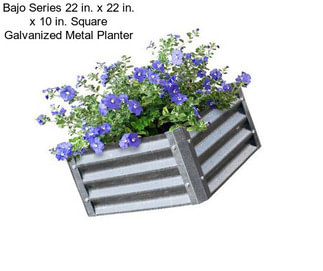 Bajo Series 22 in. x 22 in. x 10 in. Square Galvanized Metal Planter