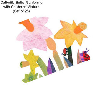 Daffodils Bulbs Gardening with Childeren Mixture (Set of 25)