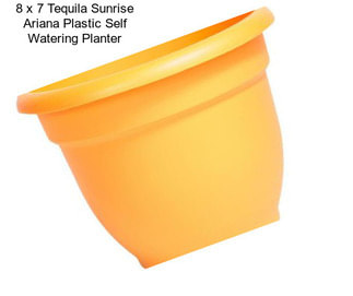 8 x 7 Tequila Sunrise Ariana Plastic Self Watering Planter