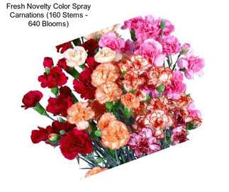 Fresh Novelty Color Spray Carnations (160 Stems - 640 Blooms)