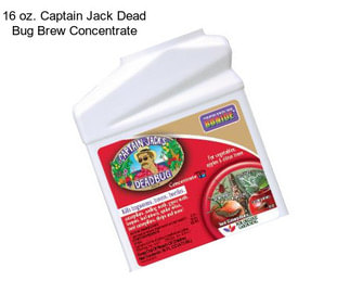 16 oz. Captain Jack Dead Bug Brew Concentrate