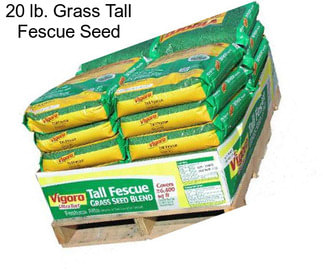 20 lb. Grass Tall Fescue Seed