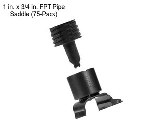 1 in. x 3/4 in. FPT Pipe Saddle (75-Pack)