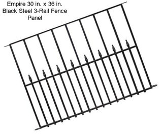 Empire 30 in. x 36 in. Black Steel 3-Rail Fence Panel