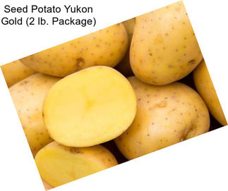 Seed Potato Yukon Gold (2 lb. Package)