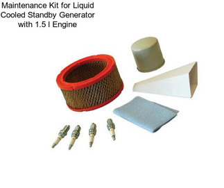 Maintenance Kit for Liquid Cooled Standby Generator with 1.5 l Engine