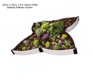 120 in. x 120 in. x 8 in. Classic White Butterfly Pollinator Garden