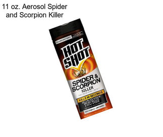 11 oz. Aerosol Spider and Scorpion Killer