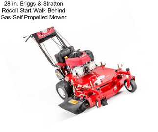 28 in. Briggs & Stratton Recoil Start Walk Behind Gas Self Propelled Mower