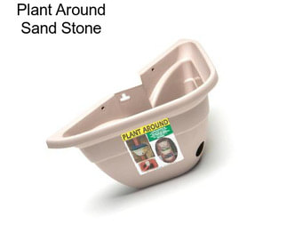 Plant Around Sand Stone