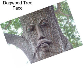 Dagwood Tree Face