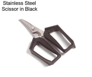 Stainless Steel Scissor in Black