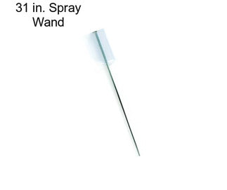 31 in. Spray Wand