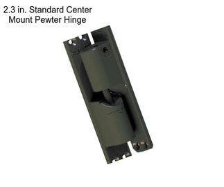 2.3 in. Standard Center Mount Pewter Hinge