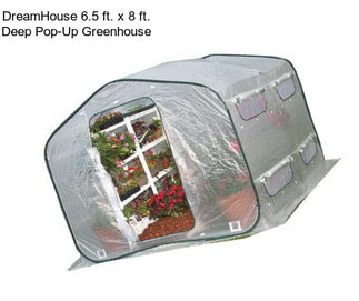 DreamHouse 6.5 ft. x 8 ft. Deep Pop-Up Greenhouse