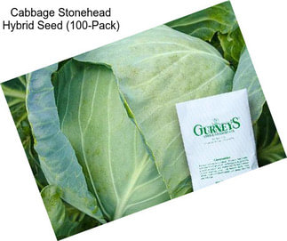 Cabbage Stonehead Hybrid Seed (100-Pack)