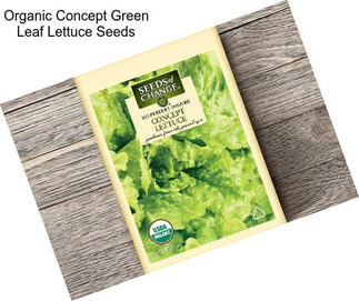 Organic Concept Green Leaf Lettuce Seeds