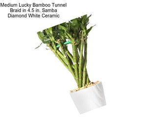 Medium Lucky Bamboo Tunnel Braid in 4.5 in. Samba Diamond White Ceramic