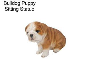 Bulldog Puppy Sitting Statue