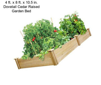 4 ft. x 8 ft. x 10.5 in. Dovetail Cedar Raised Garden Bed