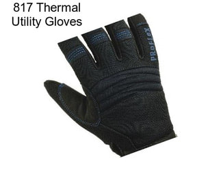 817 Thermal Utility Gloves