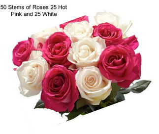 50 Stems of Roses 25 Hot Pink and 25 White