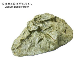 12 in. H x 20 in. W x 30 in. L Medium Boulder Rock