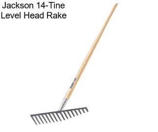 Jackson 14-Tine Level Head Rake