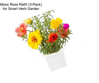 Moss Rose Refill (3-Pack) for Smart Herb Garden