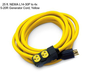 25 ft. NEMA L14-30P to 4x 5-20R Generator Cord, Yellow