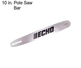 10 in. Pole Saw Bar