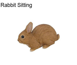 Rabbit Sitting