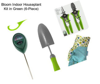 Bloom Indoor Houseplant Kit in Green (6-Piece)