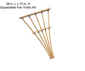 38 in. L x 72 in. H Expandable Fan Trellis Kit