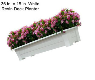 36 in. x 15 in. White Resin Deck Planter