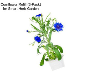 Cornflower Refill (3-Pack) for Smart Herb Garden