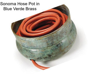 Sonoma Hose Pot in Blue Verde Brass