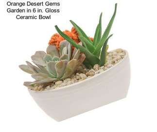 Orange Desert Gems Garden in 6 in. Gloss Ceramic Bowl