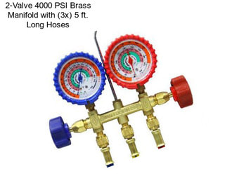 2-Valve 4000 PSI Brass Manifold with (3x) 5 ft. Long Hoses