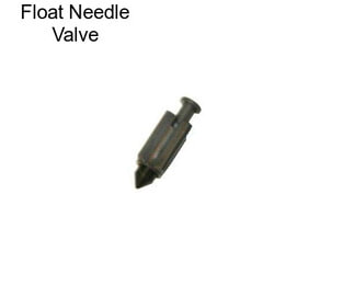 Float Needle Valve