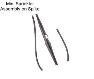 Mini Sprinkler Assembly on Spike