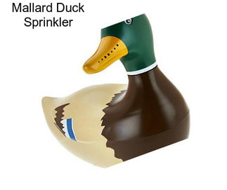 Mallard Duck Sprinkler