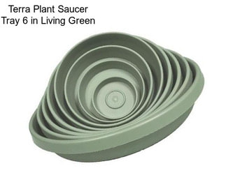 Terra Plant Saucer Tray 6 in Living Green