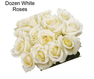 Dozen White Roses