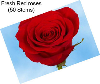 Fresh Red roses (50 Stems)