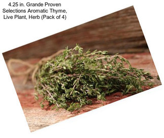 4.25 in. Grande Proven Selections Aromatic Thyme, Live Plant, Herb (Pack of 4)